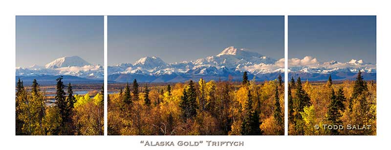 Alaska Gold
