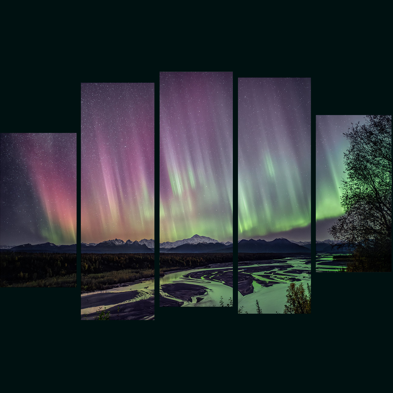 Denali Spectacle