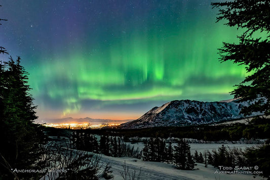 Anchorage Lights