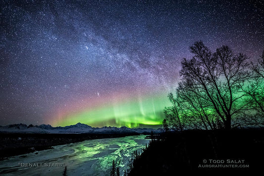 Denali Stars