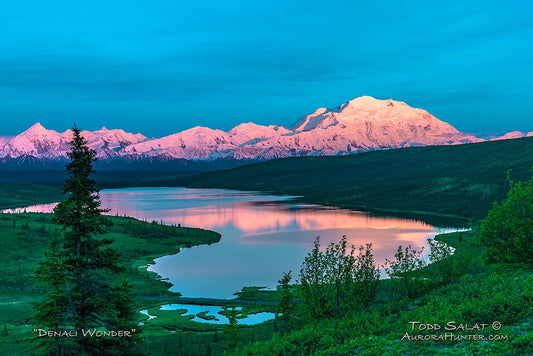 Denali Wonder
