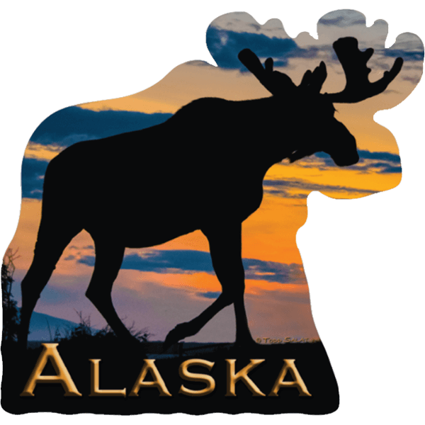 Sunset Bull sticker