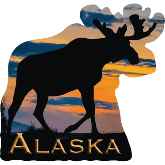 Sunset Bull sticker